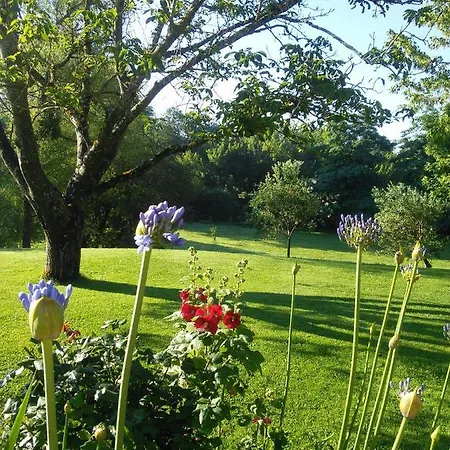 Bed & Breakfast Chambres De Manegat Saint-Magne-de-Castillon
