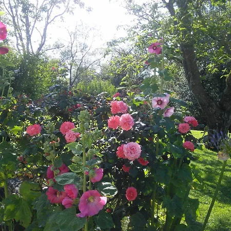 Bed & Breakfast Chambres De Manegat Saint-Magne-de-Castillon